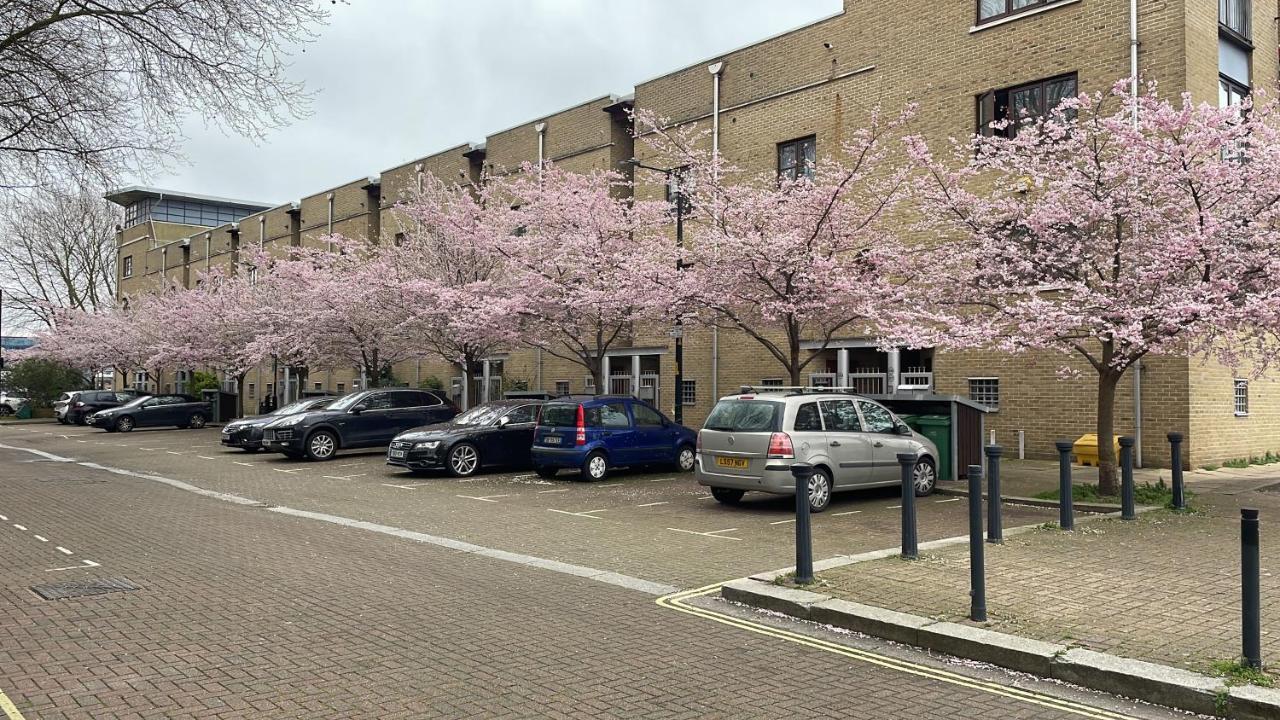 Plough Way Flat Londres Exterior foto